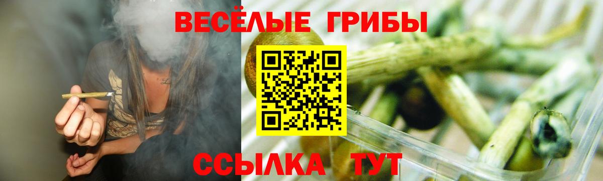 Псилоцибиновые грибы прущие грибы  Вход с VPN  Звенигород 